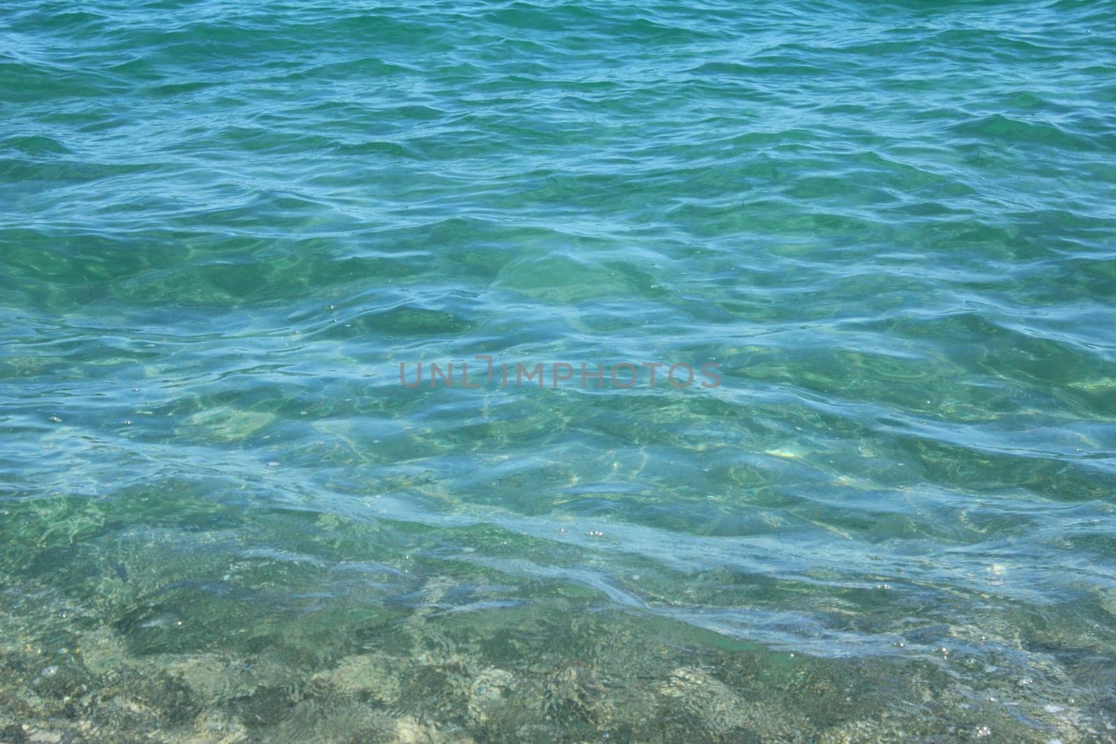 Background - Water Surface