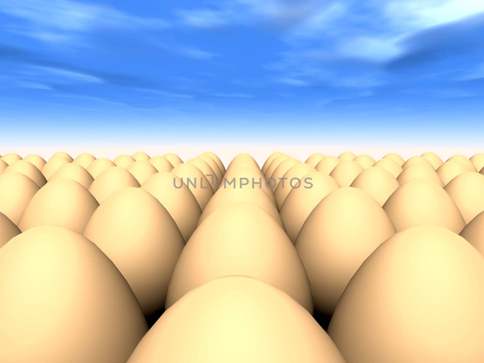 Eggs