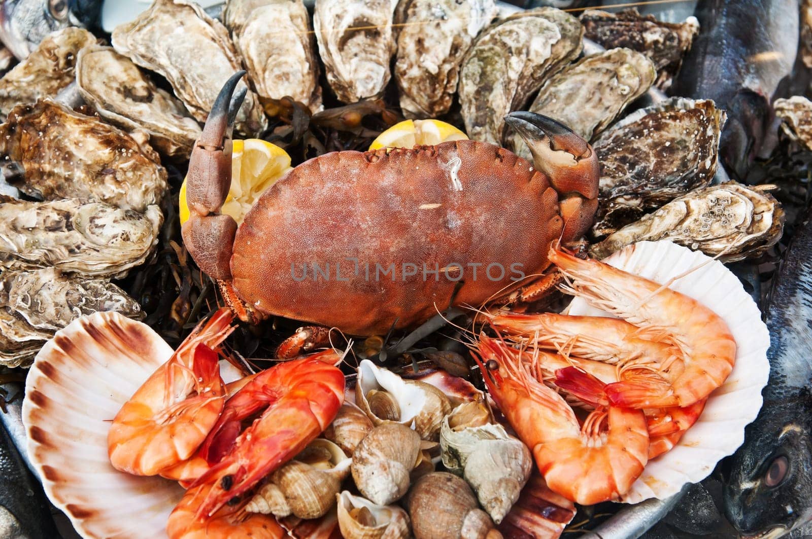 Seafood