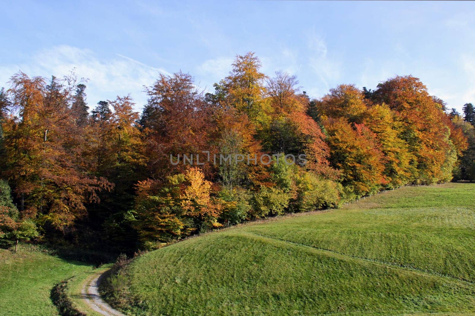 Path to autumn