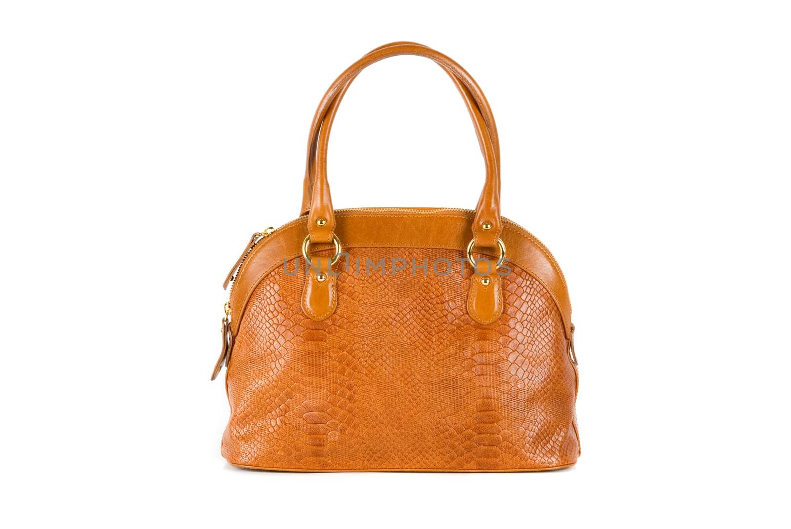 brown women bag, fashion of 2011 year isolated on white background