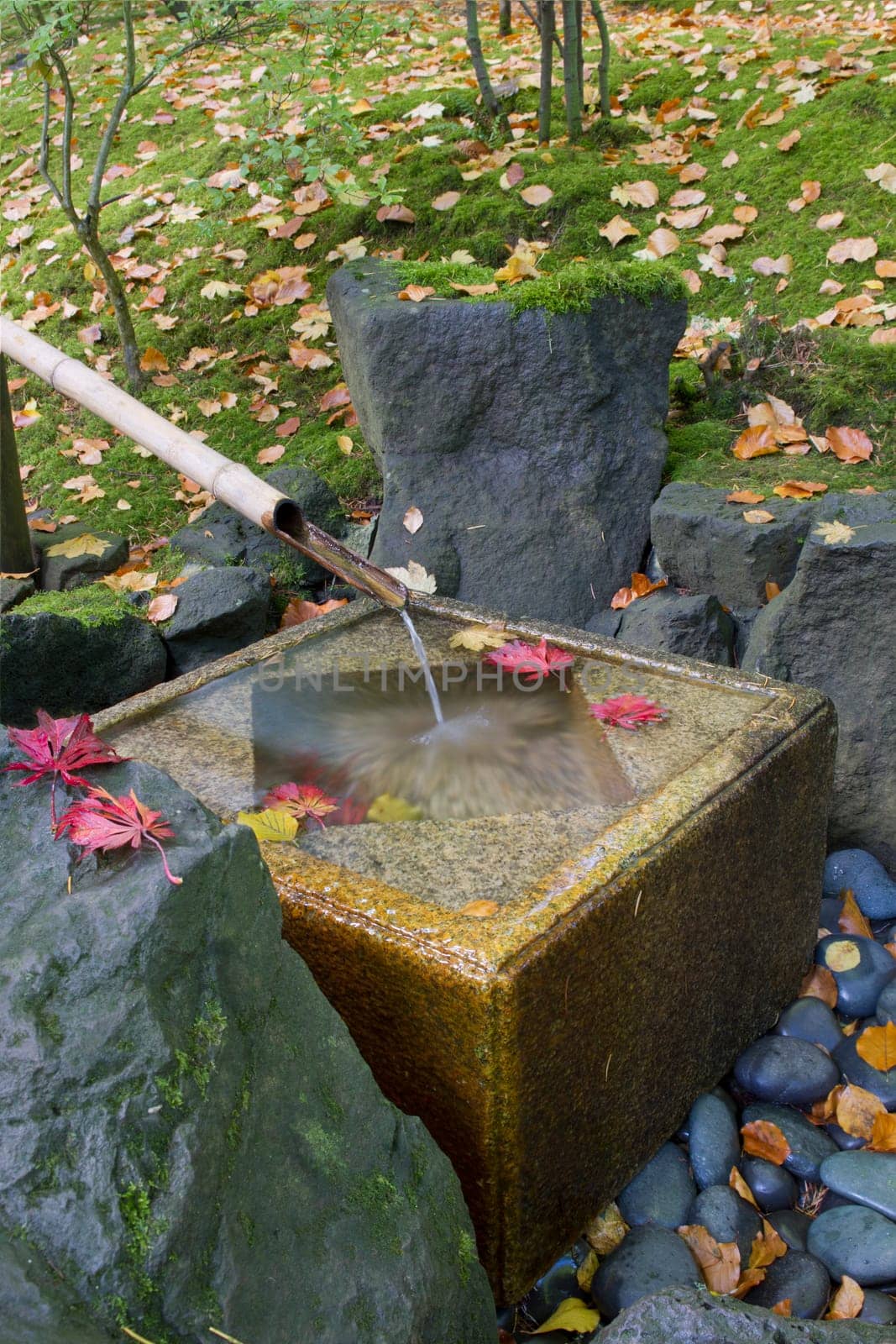Japanese Garden Bamboo Fountain with square stone basin