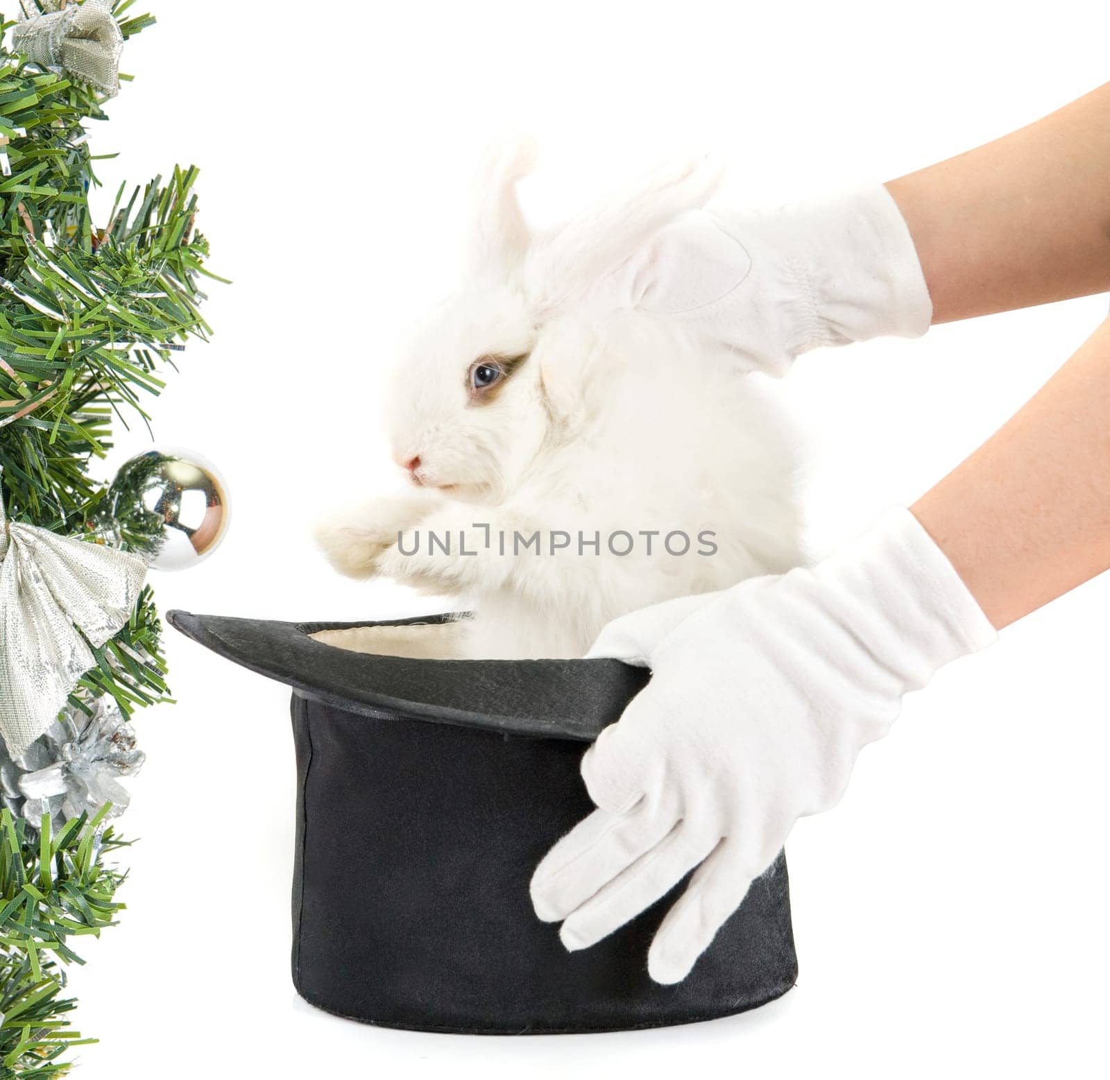 Little rabbit at magic hat isolated on a white background