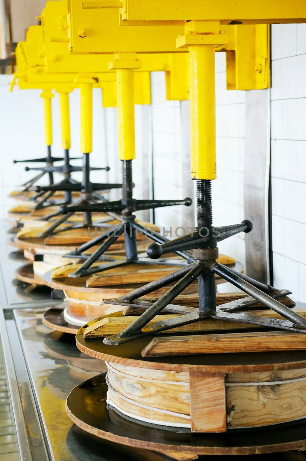 Famous beaufort cheese in manufacturing, alpine food