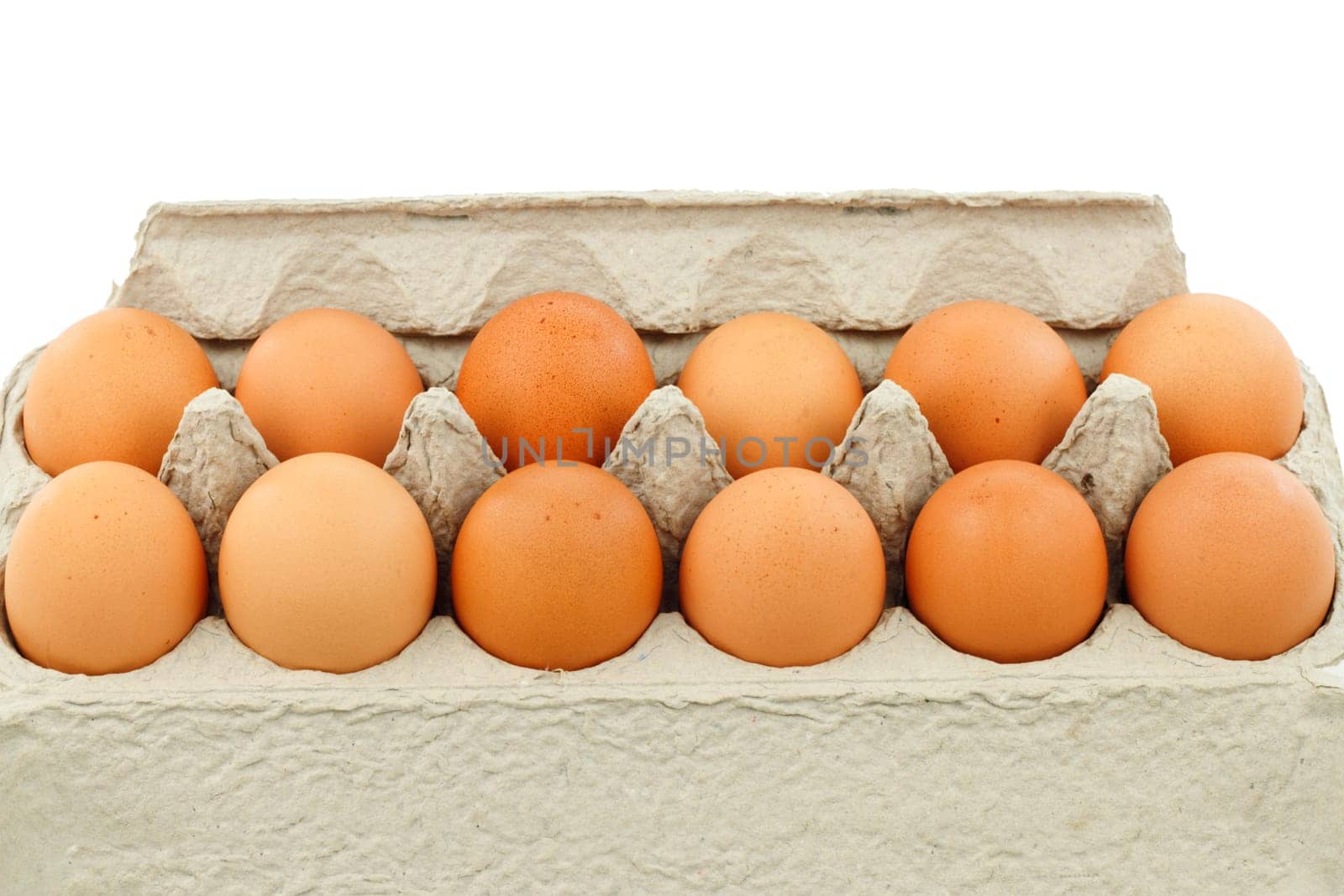 Twelve brown shelled cage free ovals are in a carton isolated on a white background.
