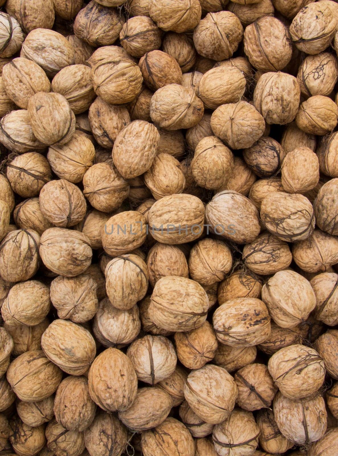 Walnut