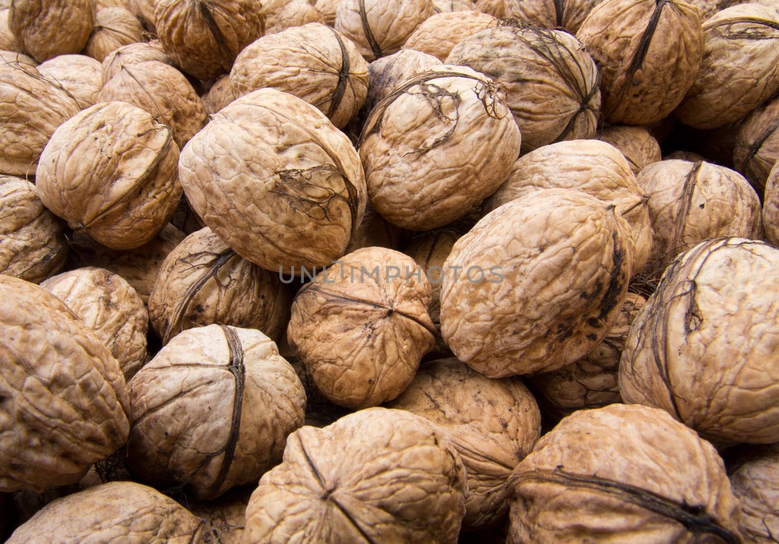 Walnut