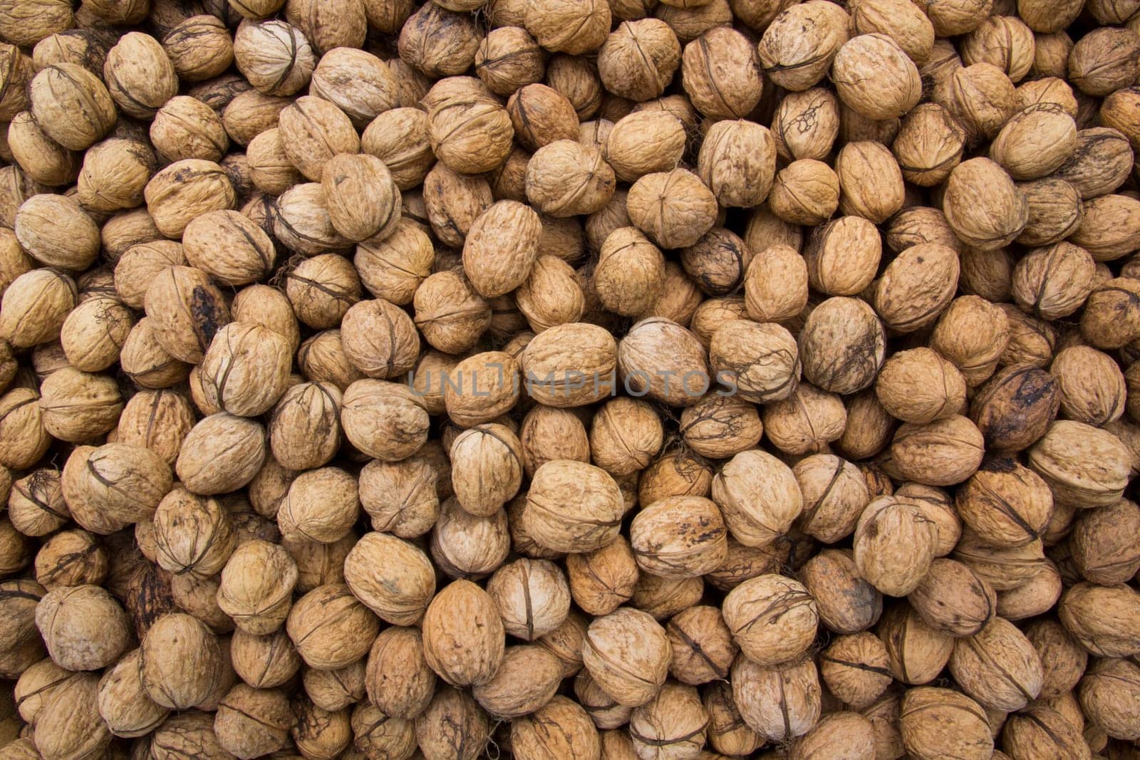 Nut