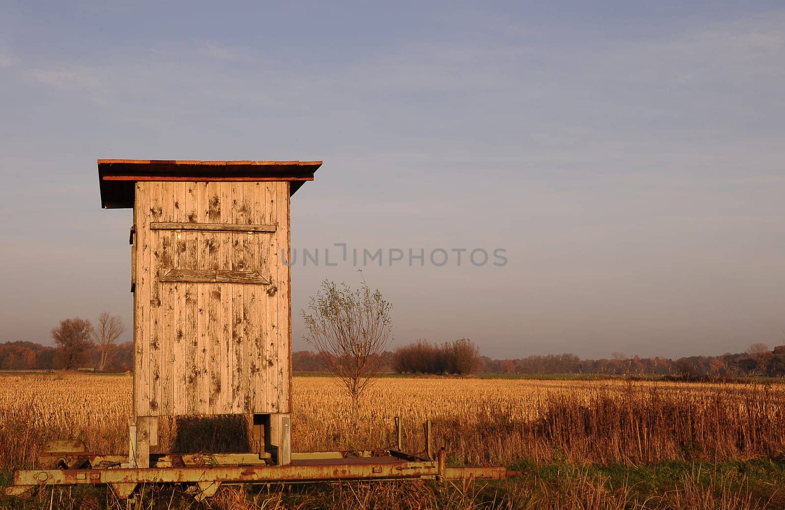 Raised hide