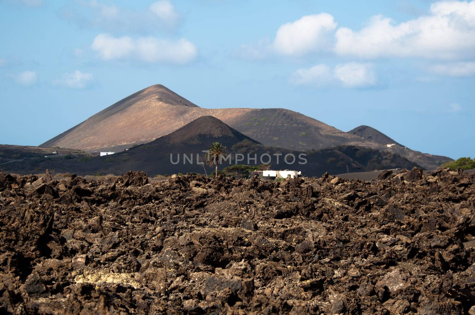 Typical Lanzarote scenery with volcanic soil, palms, white houses and mountains in background - Lanzarote, Canary Islands, Spain