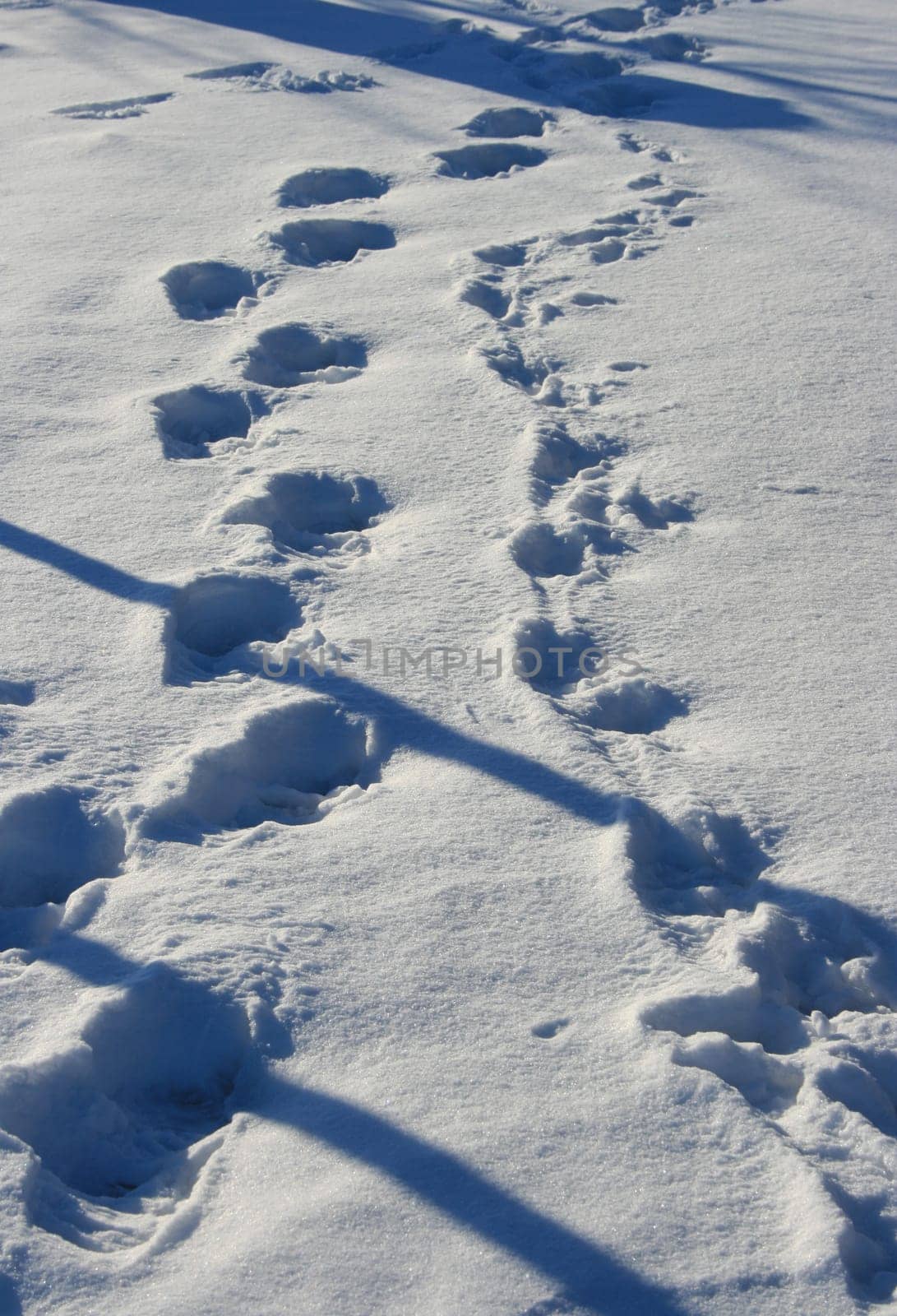 snow