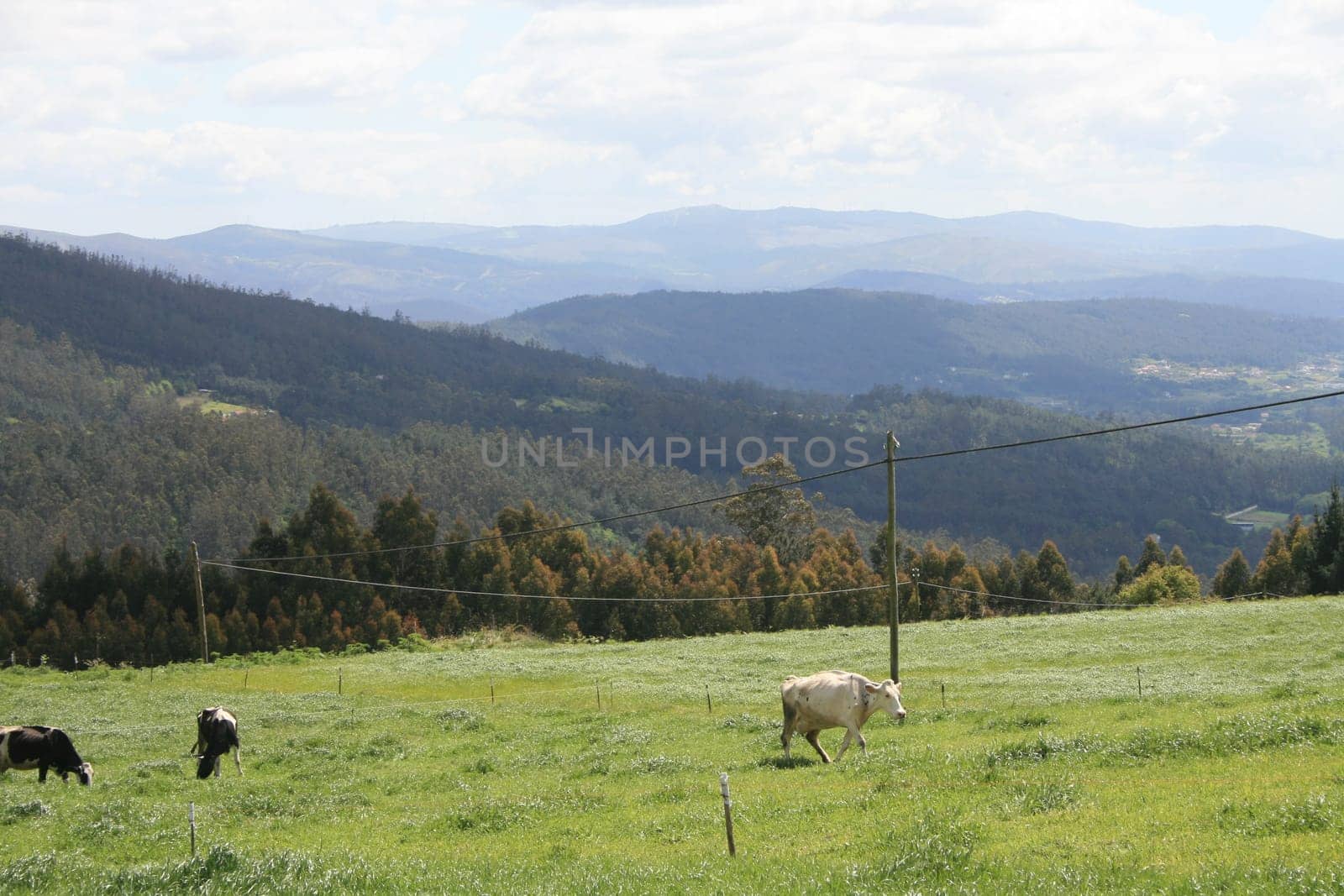 Galicia,Spain,at the way of St. James famous european pilgrims way