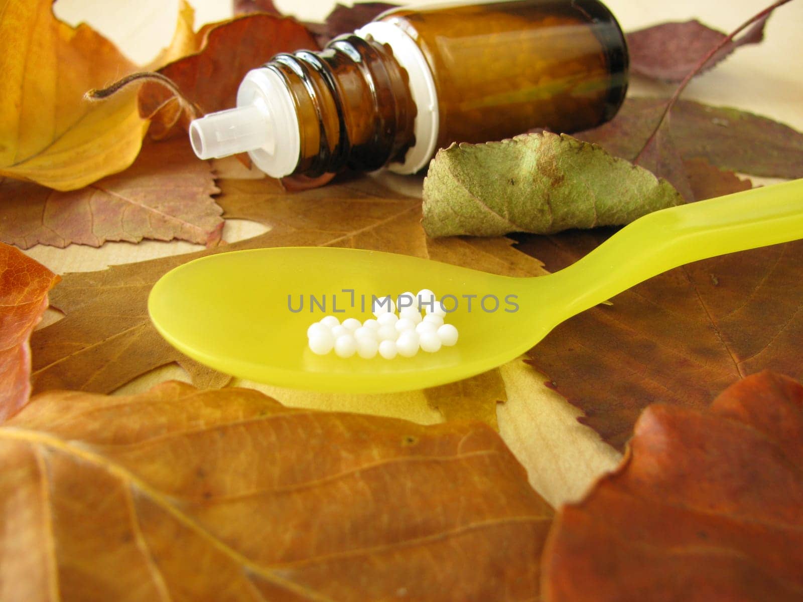 Autumn leaves and homeopathic globules