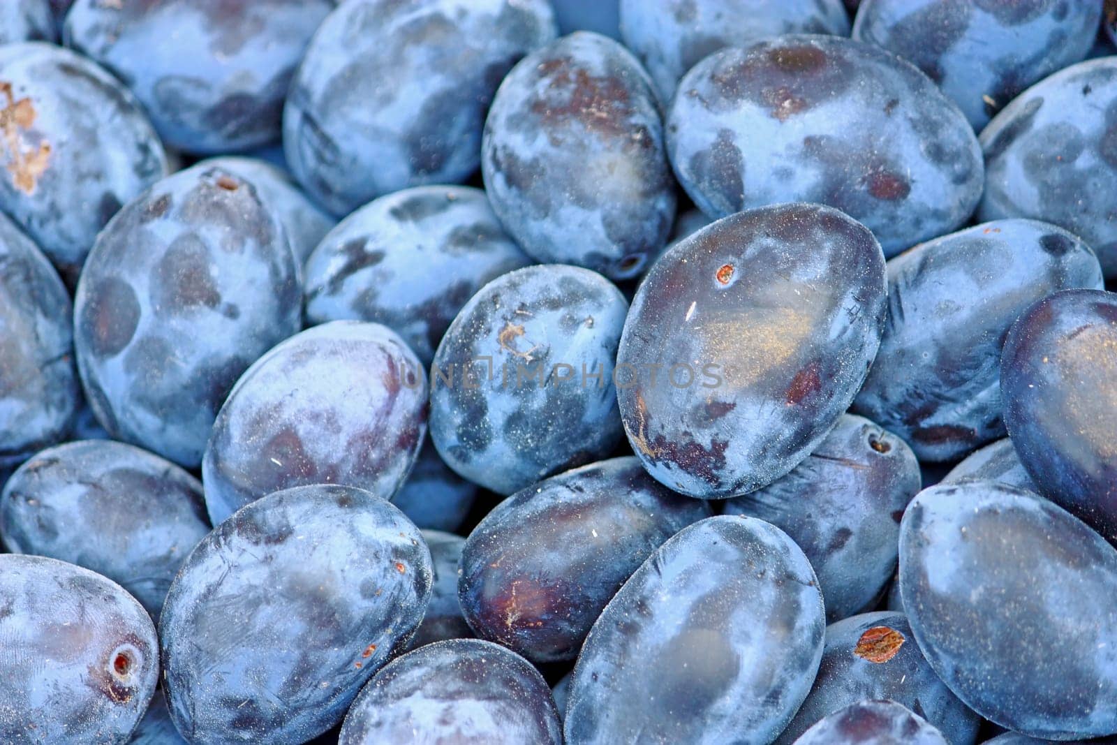 Fresh natural ripe plums on the market