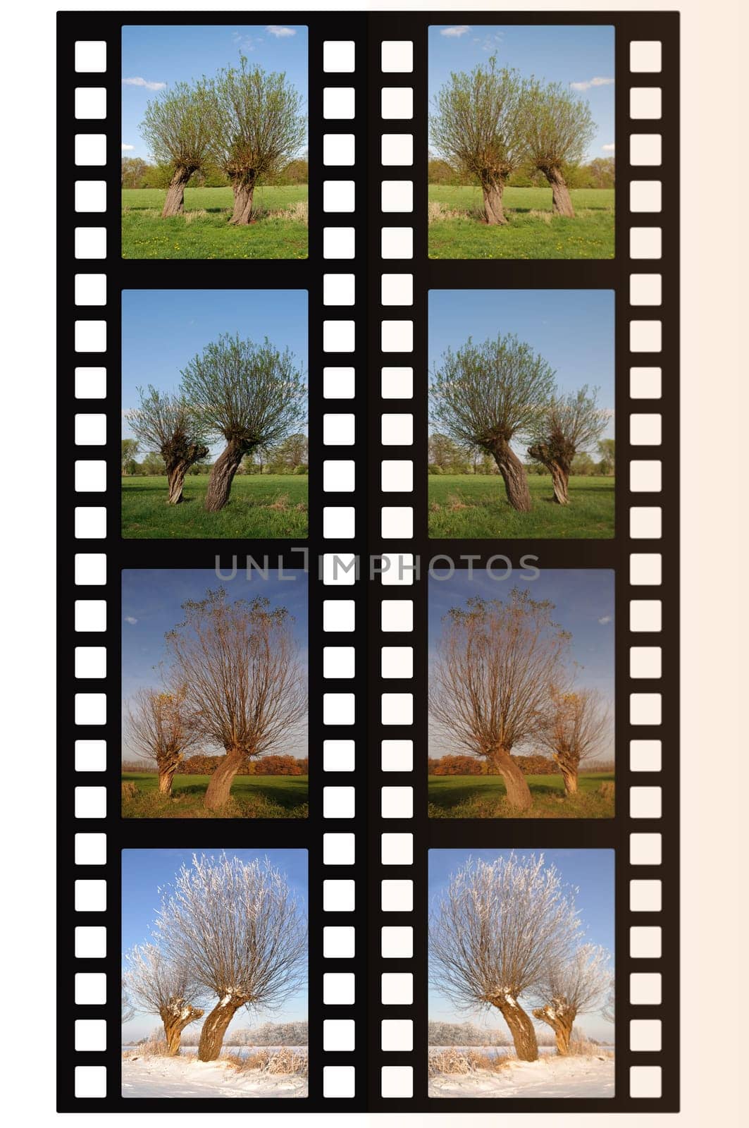 Seasons Filmstrip