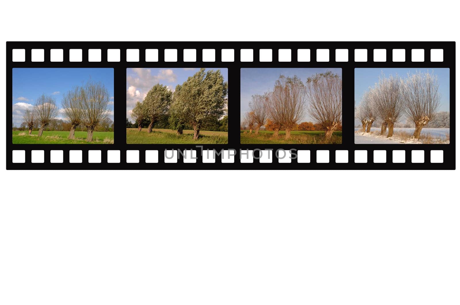 Weiden Filmstrip