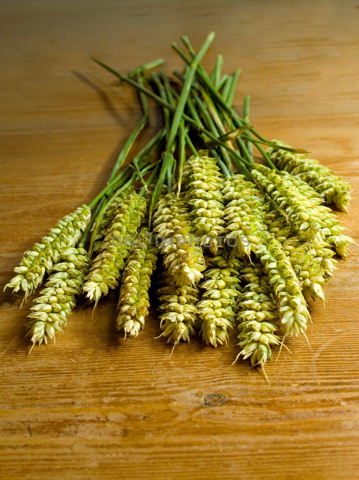 close-up of fresh green ears on the table