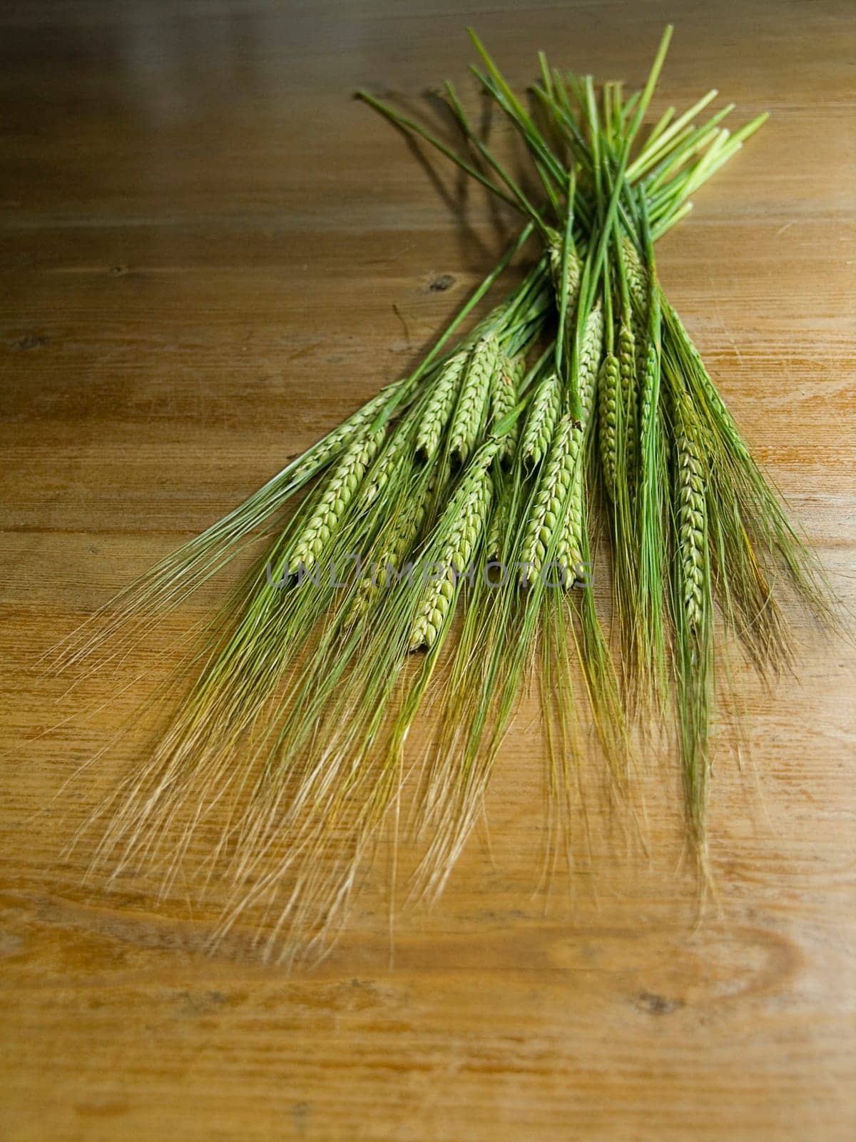 close-up of fresh green ears on the table