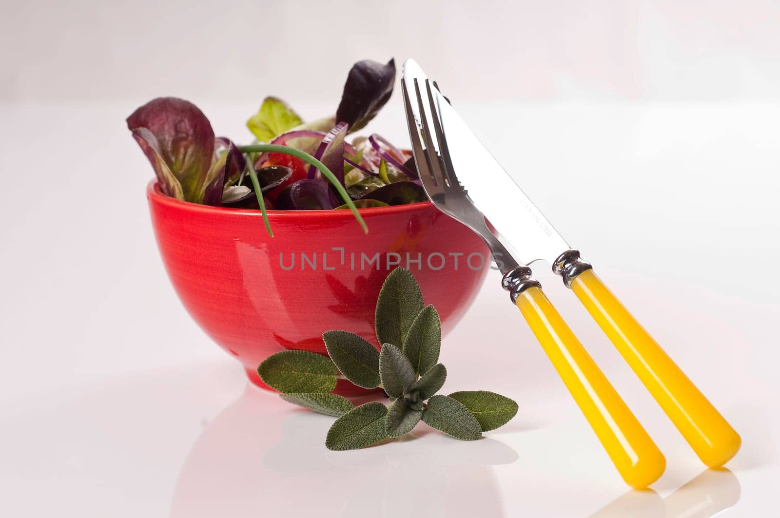 Gemischter Blattsalat mit Paprika, Tomaten und Zwiebeln in roter Schüssel / Mixed leaf salad with peppers, tomatoes and onions in a red bowl