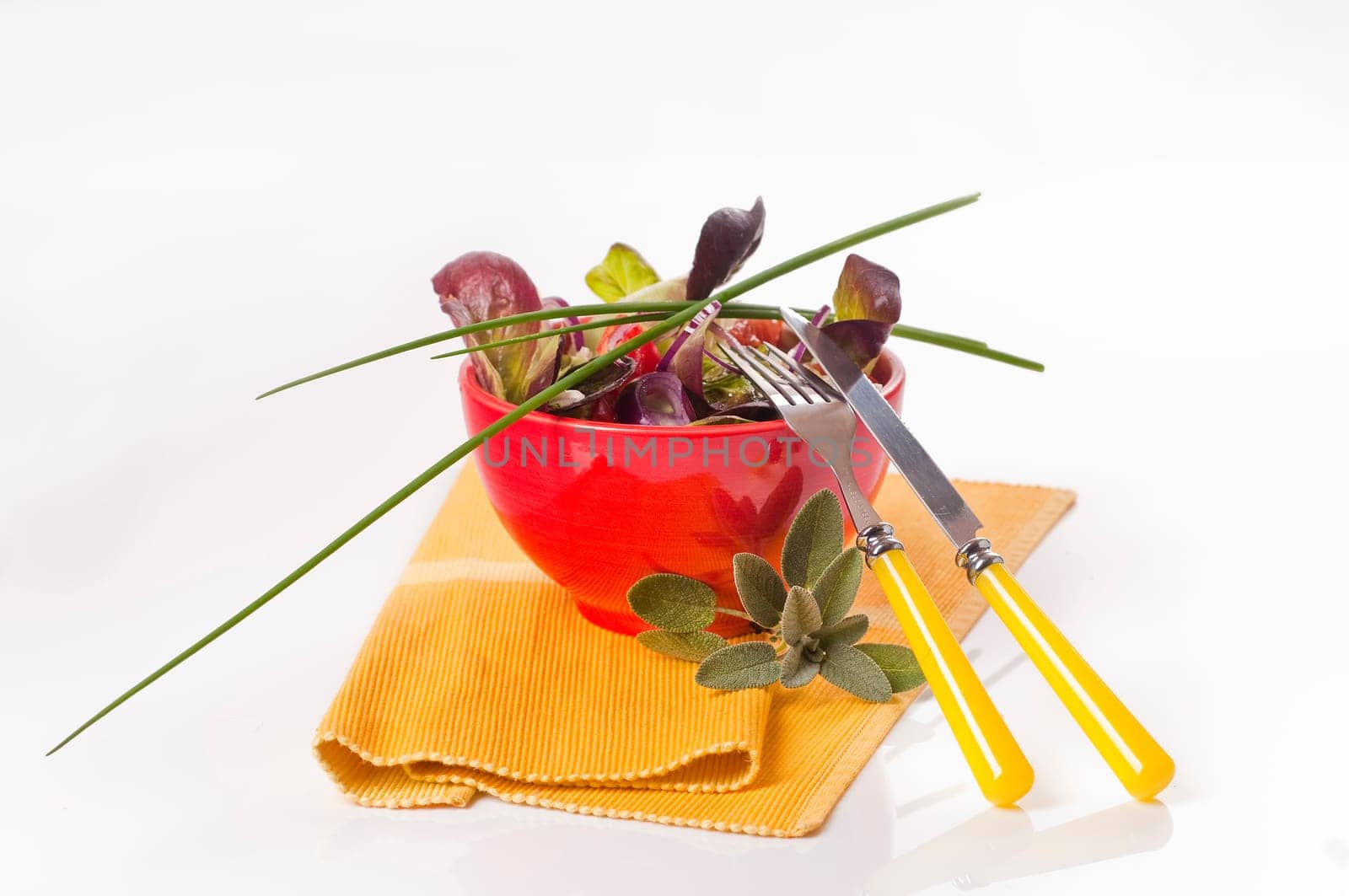 Gemischter Blattsalat mit Paprika, Tomaten und Zwiebeln in roter Schüssel / Mixed leaf salad with peppers, tomatoes and onions in a red bowl