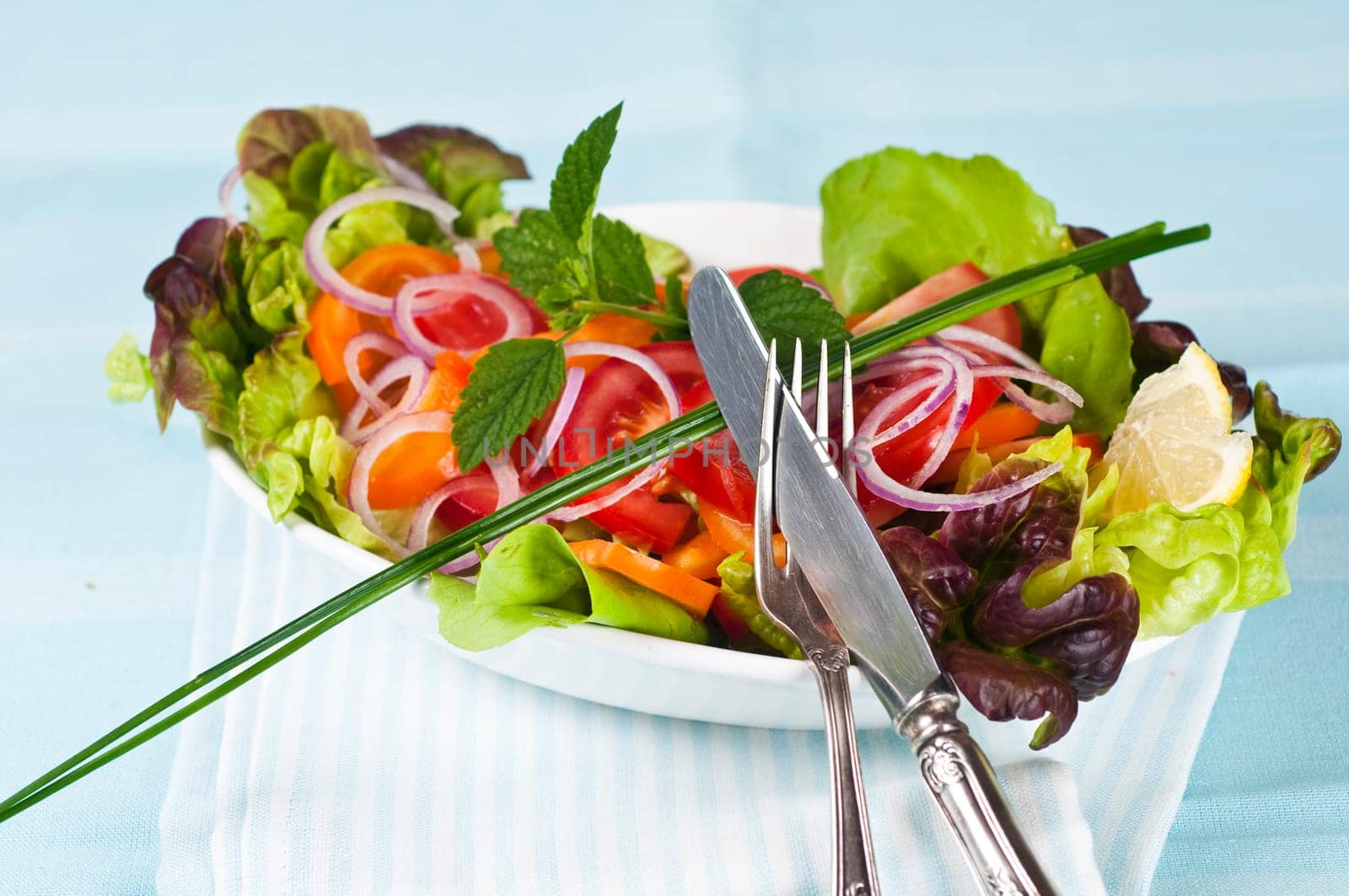 mixed salad with turkey breast on light blue background