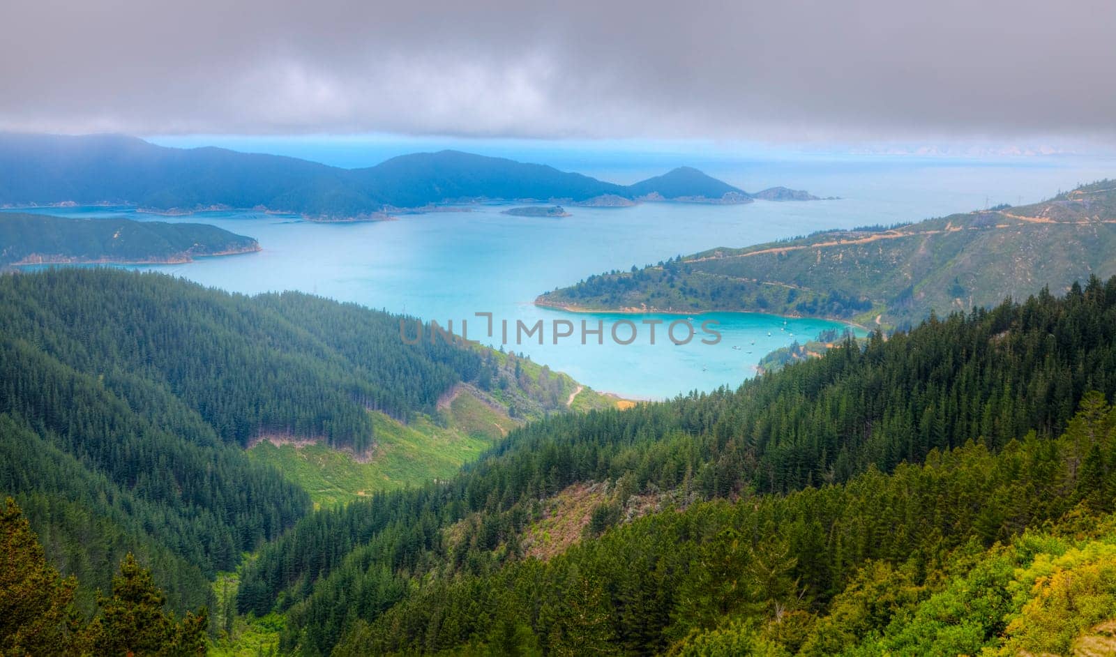 Scenic bird&#039 s eye view of Oyster Bay near Picton in New Zealand&#039 s South Island