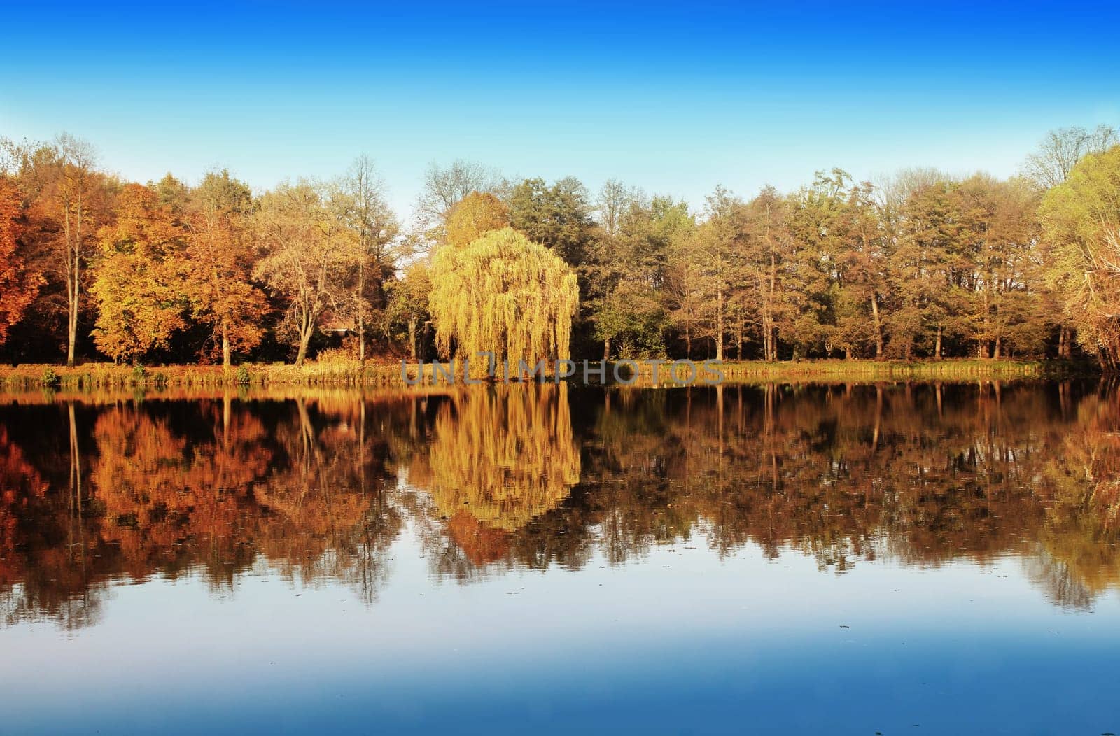autumn