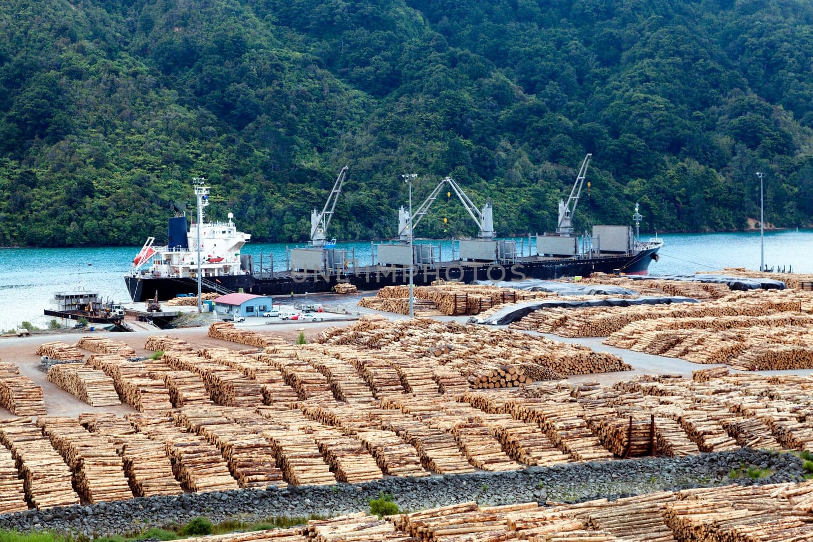 Timber is ready for shipping at a dock in New Zealand