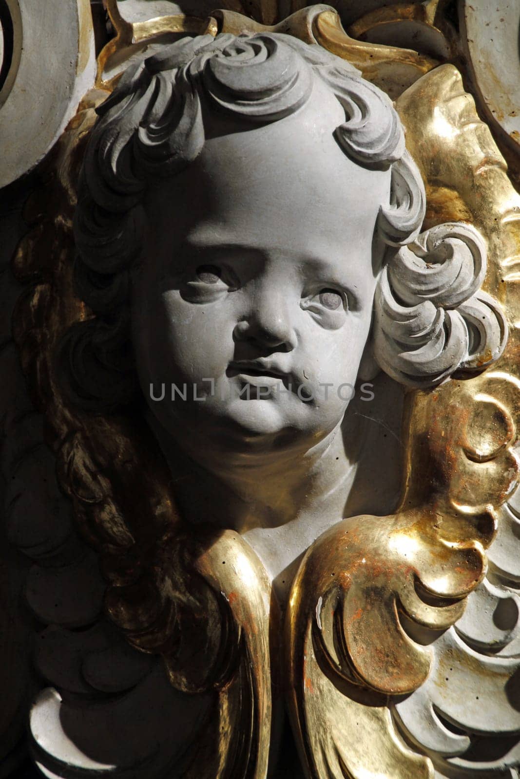 Head of an Angel