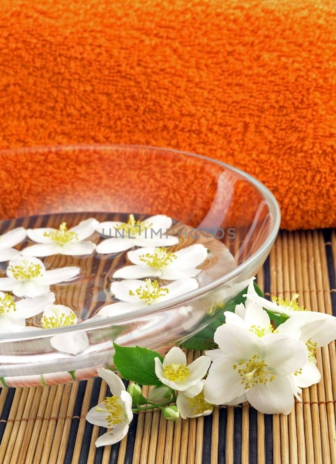 Jasmine