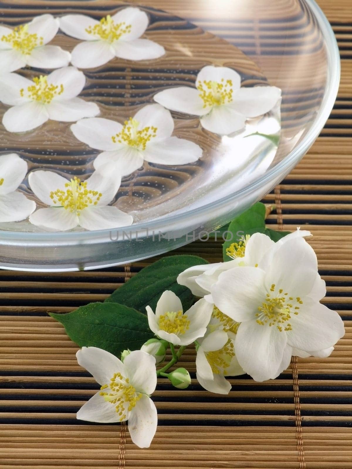 Jasmine