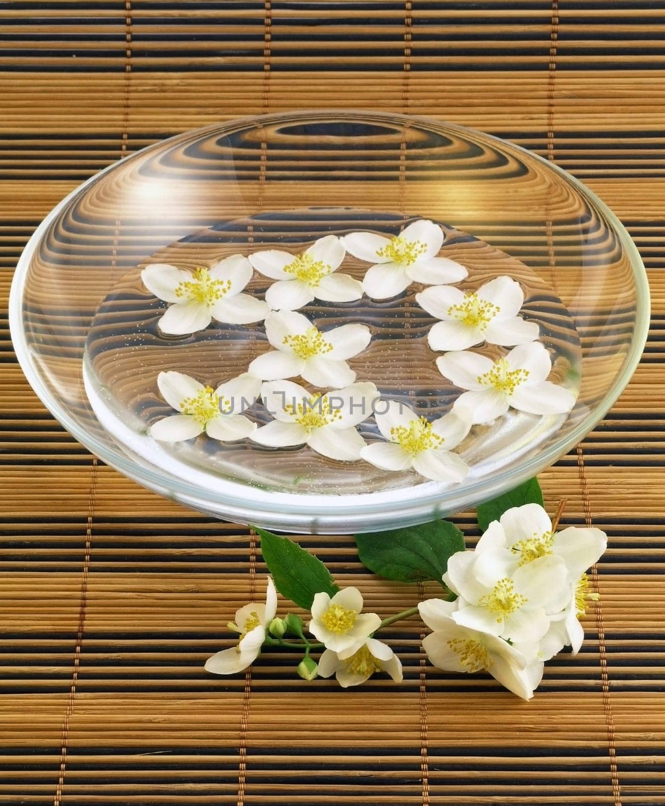 Jasmine