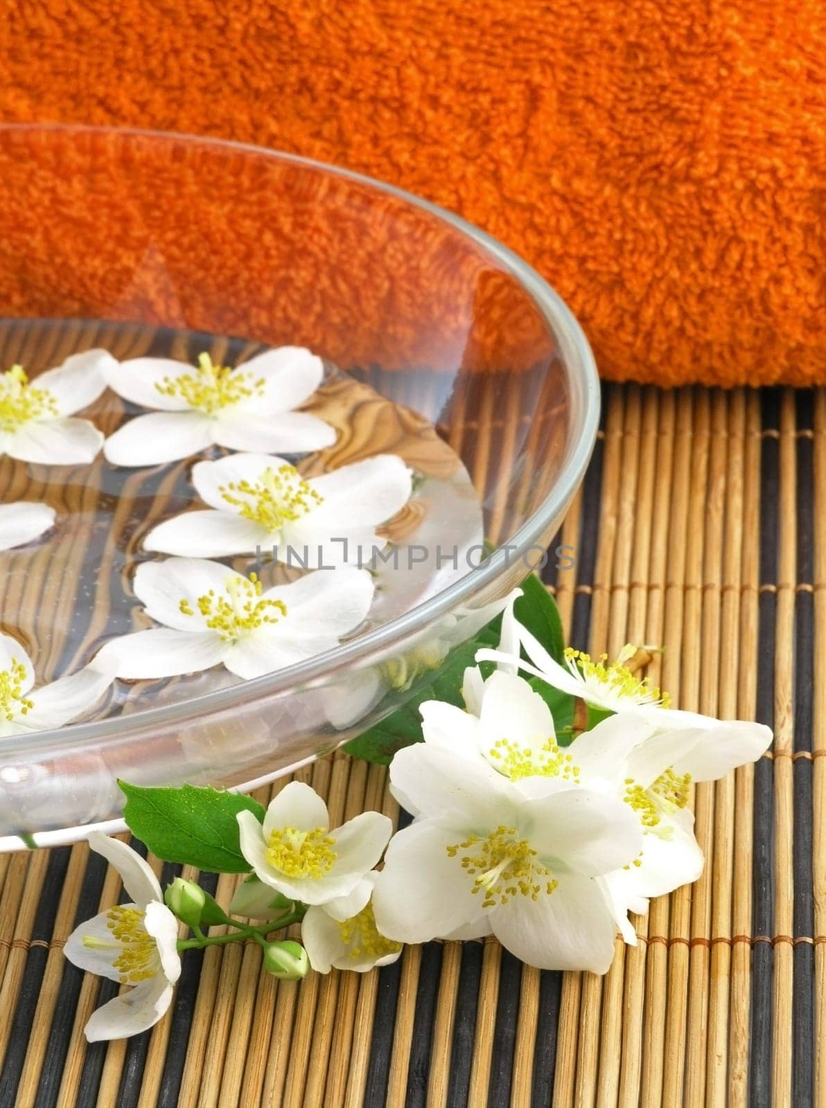 Jasmine