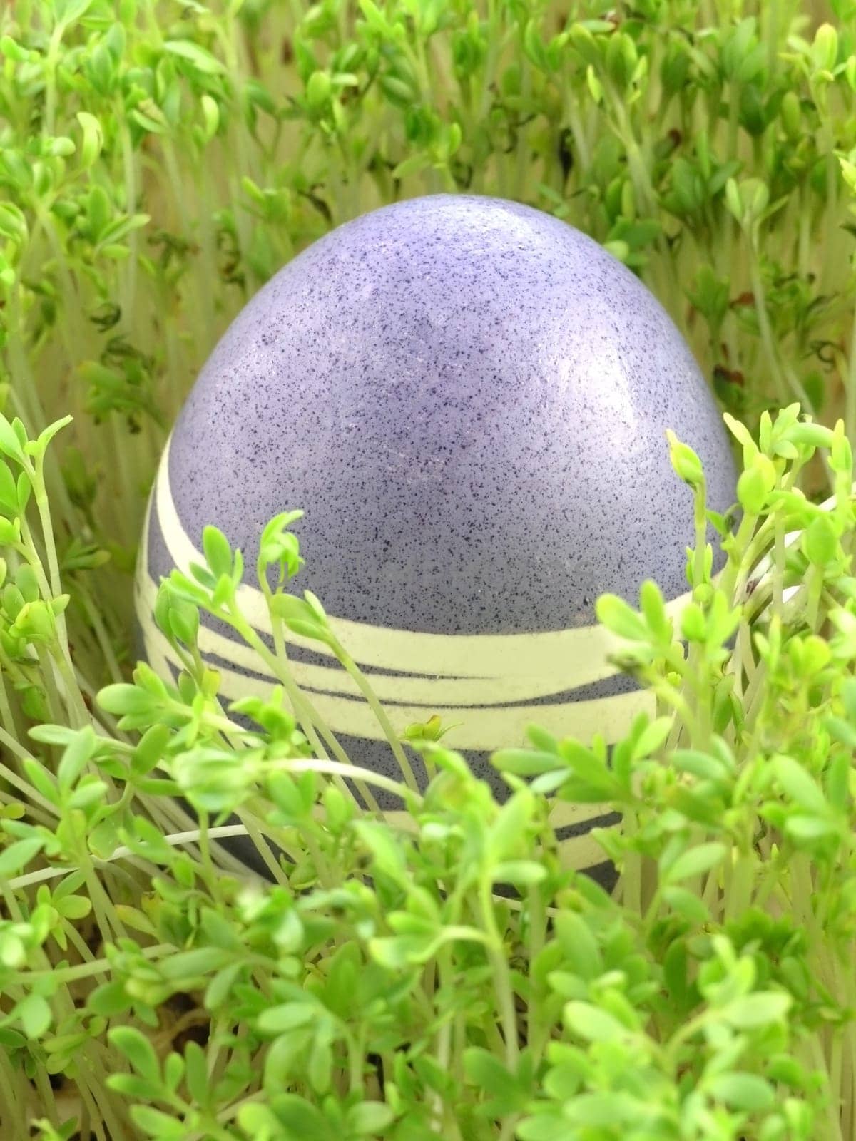 colourful Easter Eggs on a green background