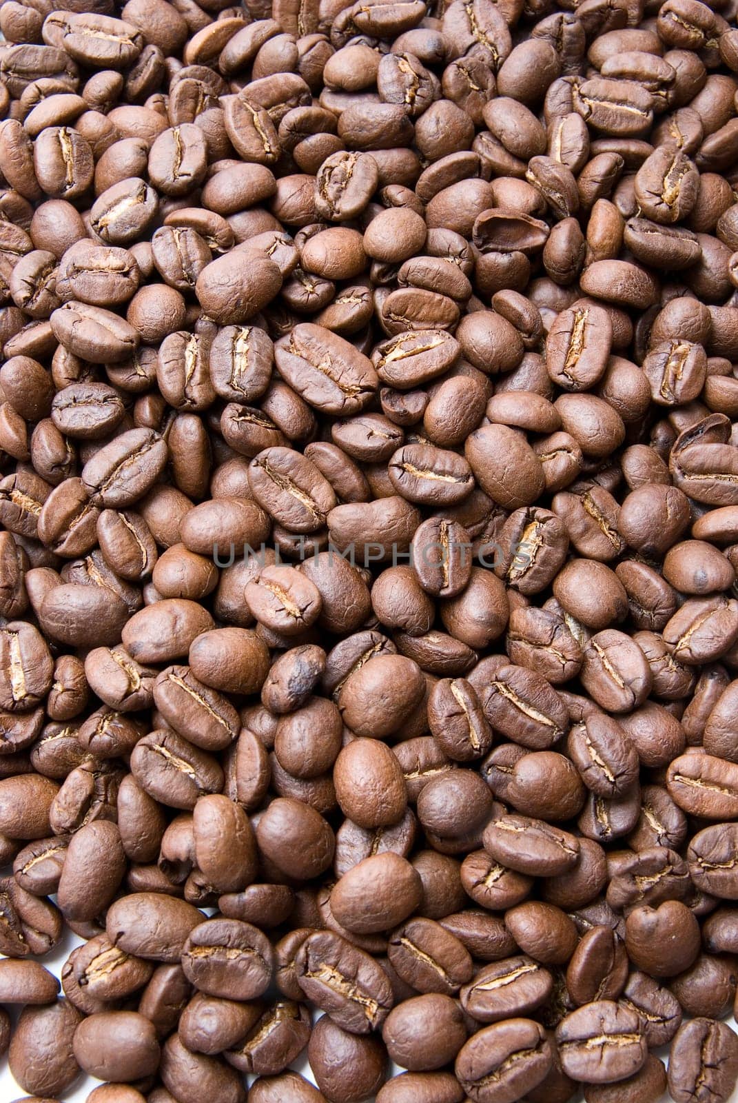 Close up of group coffee beans