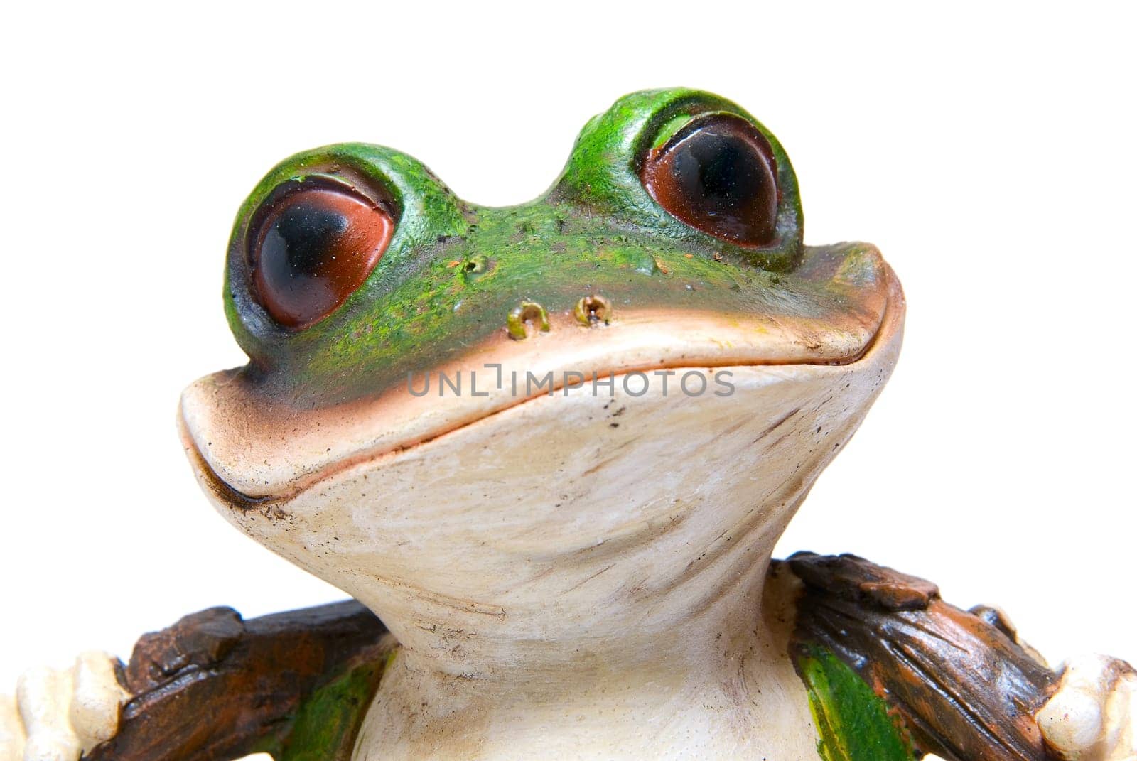 Green tree toy frog macro on white