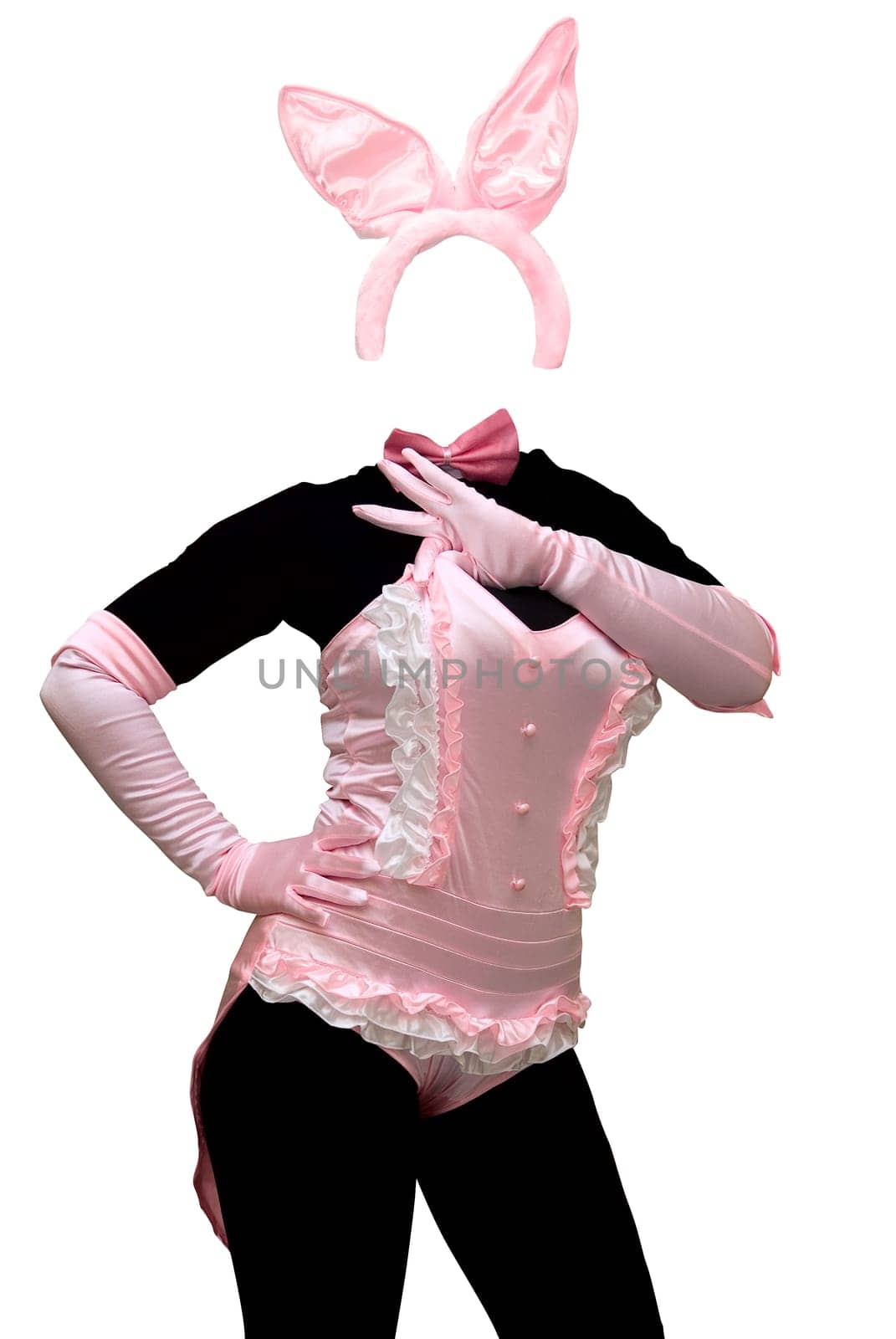 Sexy bunny costume. Isolated over white