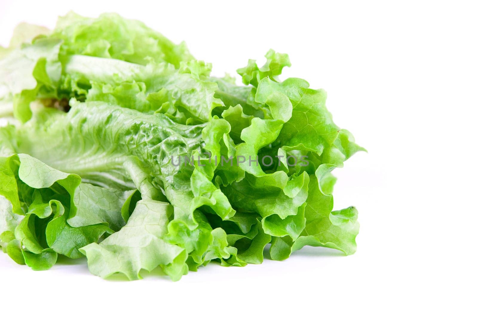 Close-up of Green Lettuce isolated on white