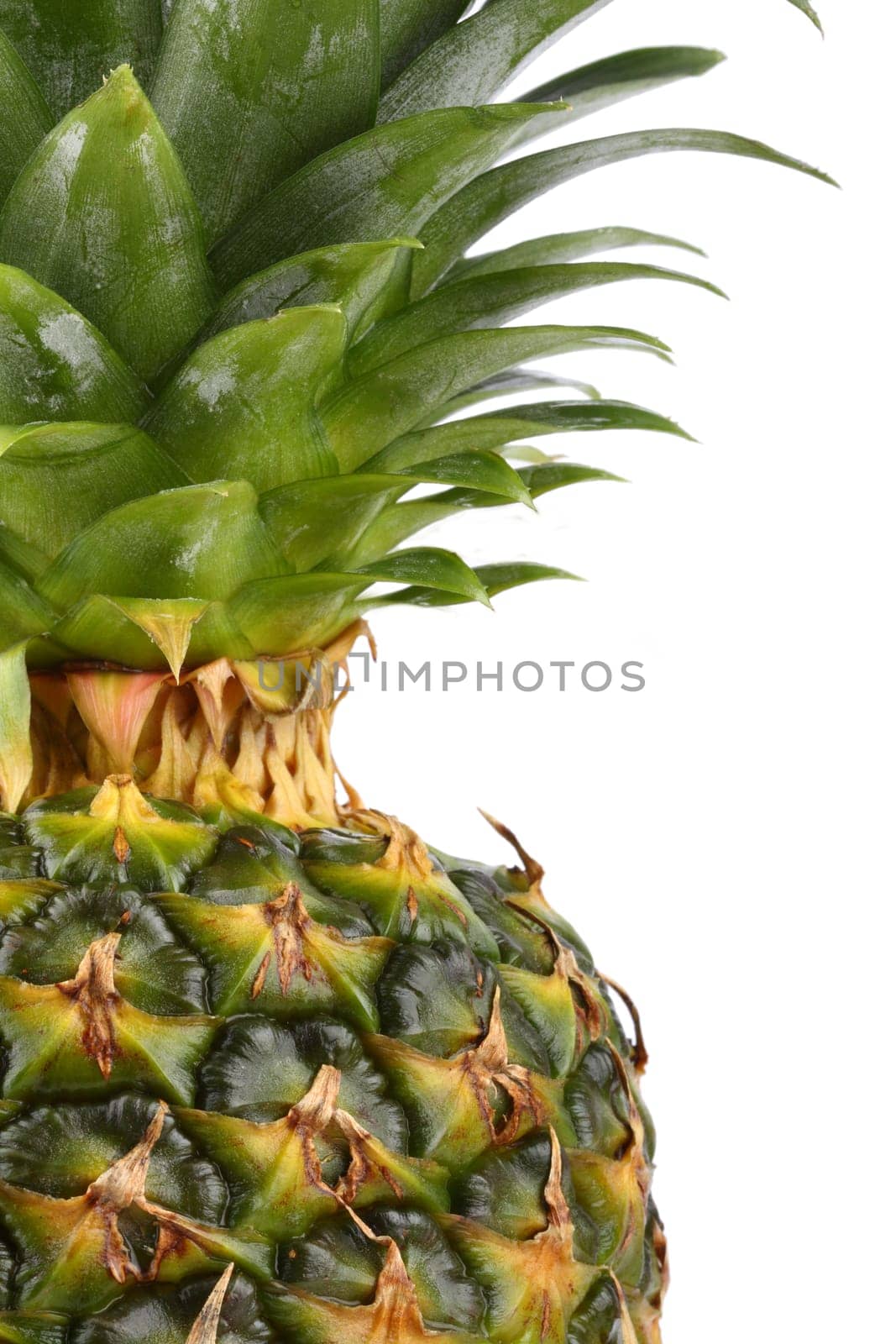 Pineapple in a half-portrait.
