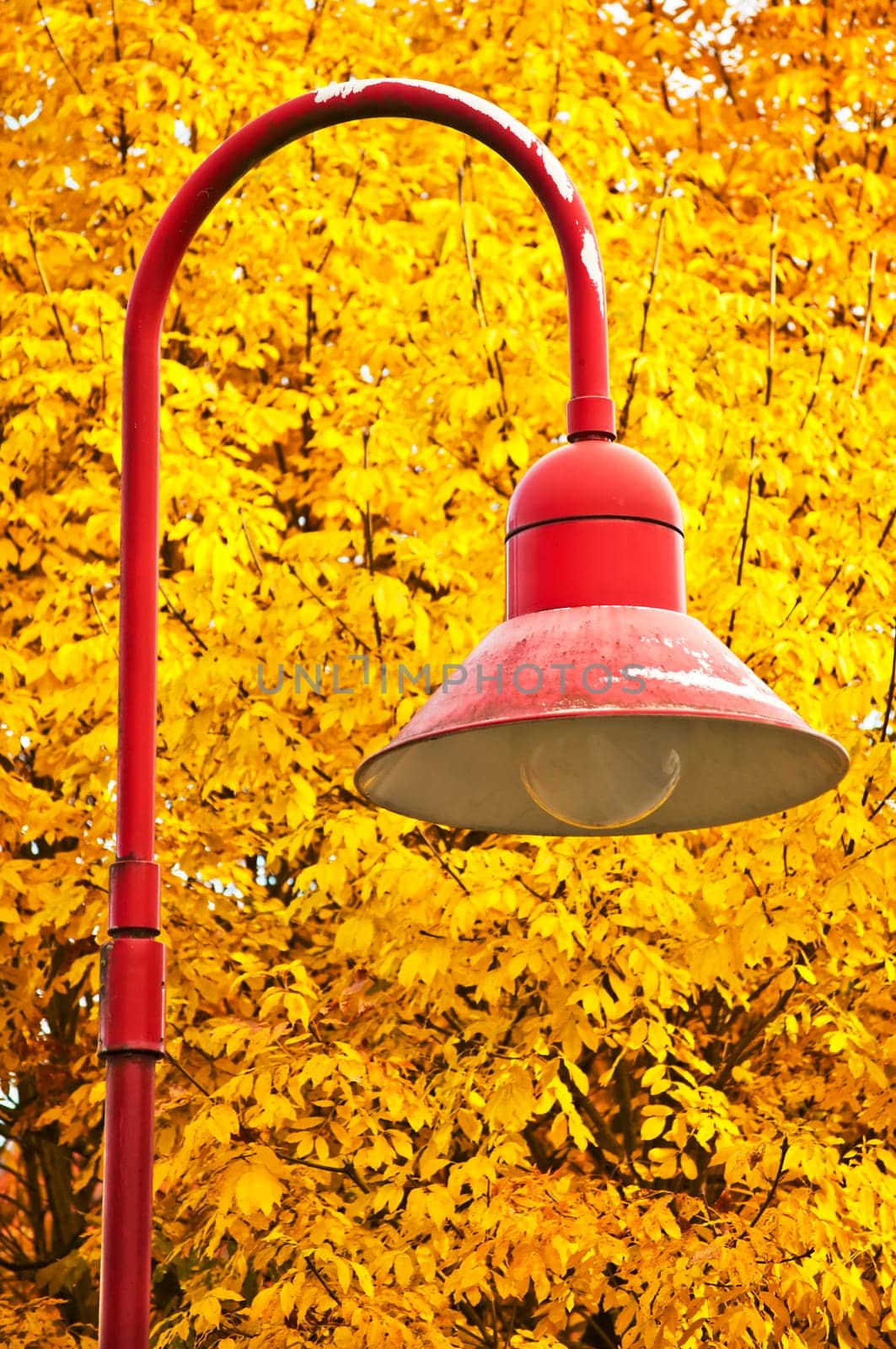 (Fall foliage) or (fall leaves) or (autumn leaves)