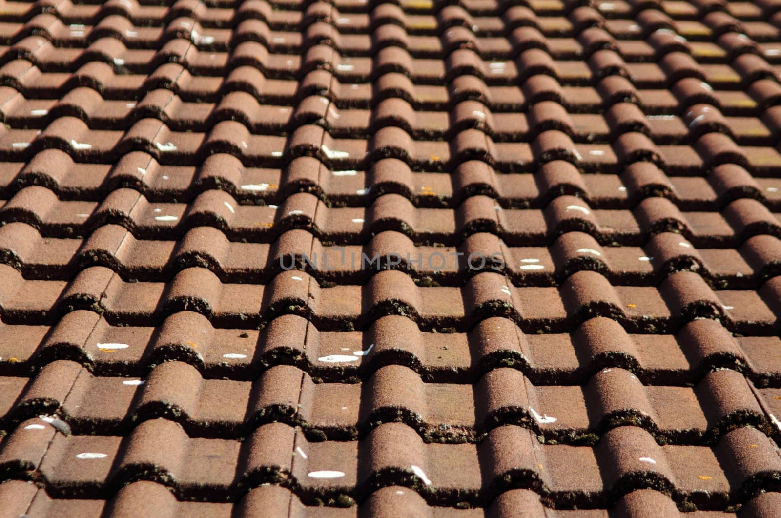 Tiles