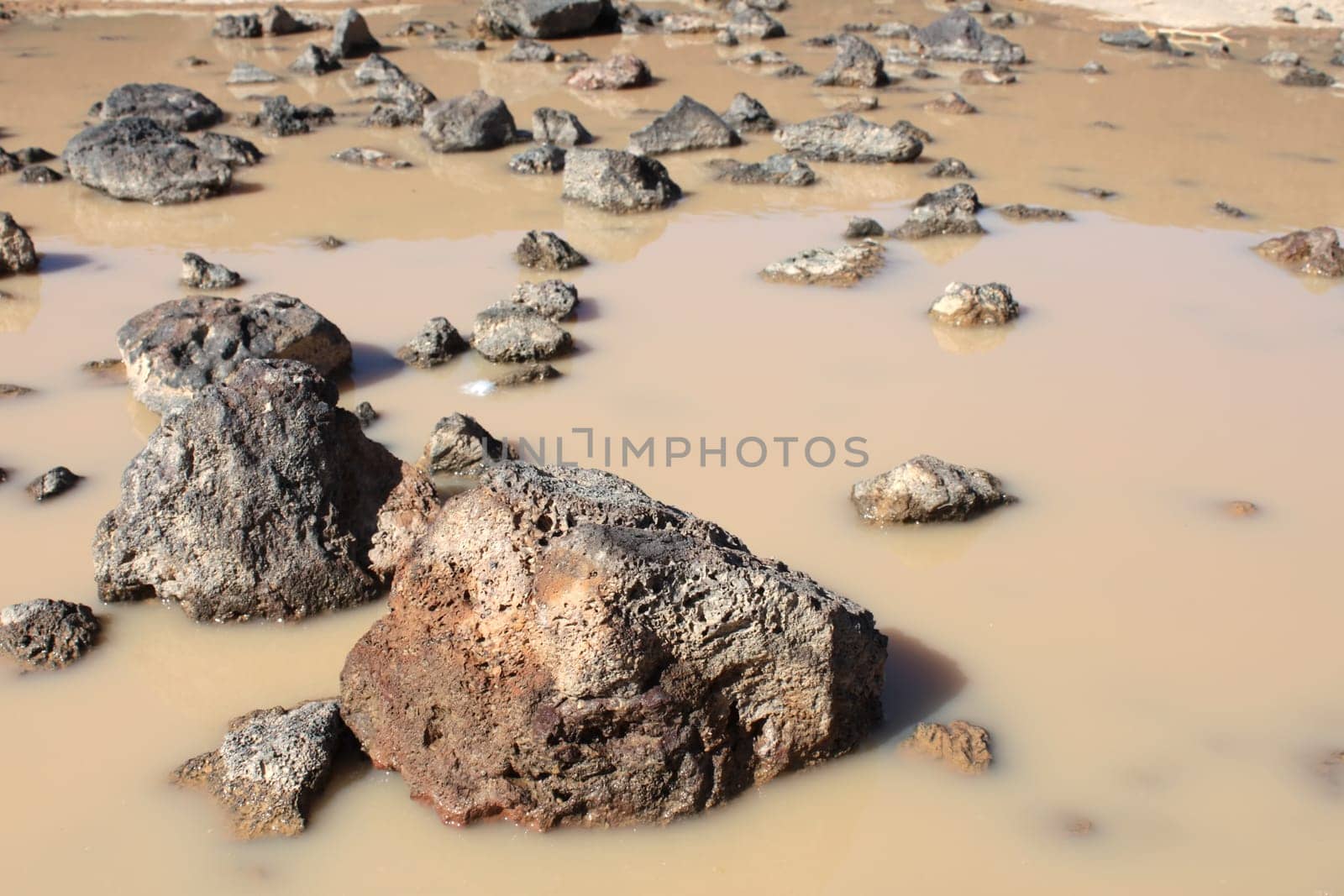 Small puddle at the bottom of Amboy Crater in the deserts of southern California.