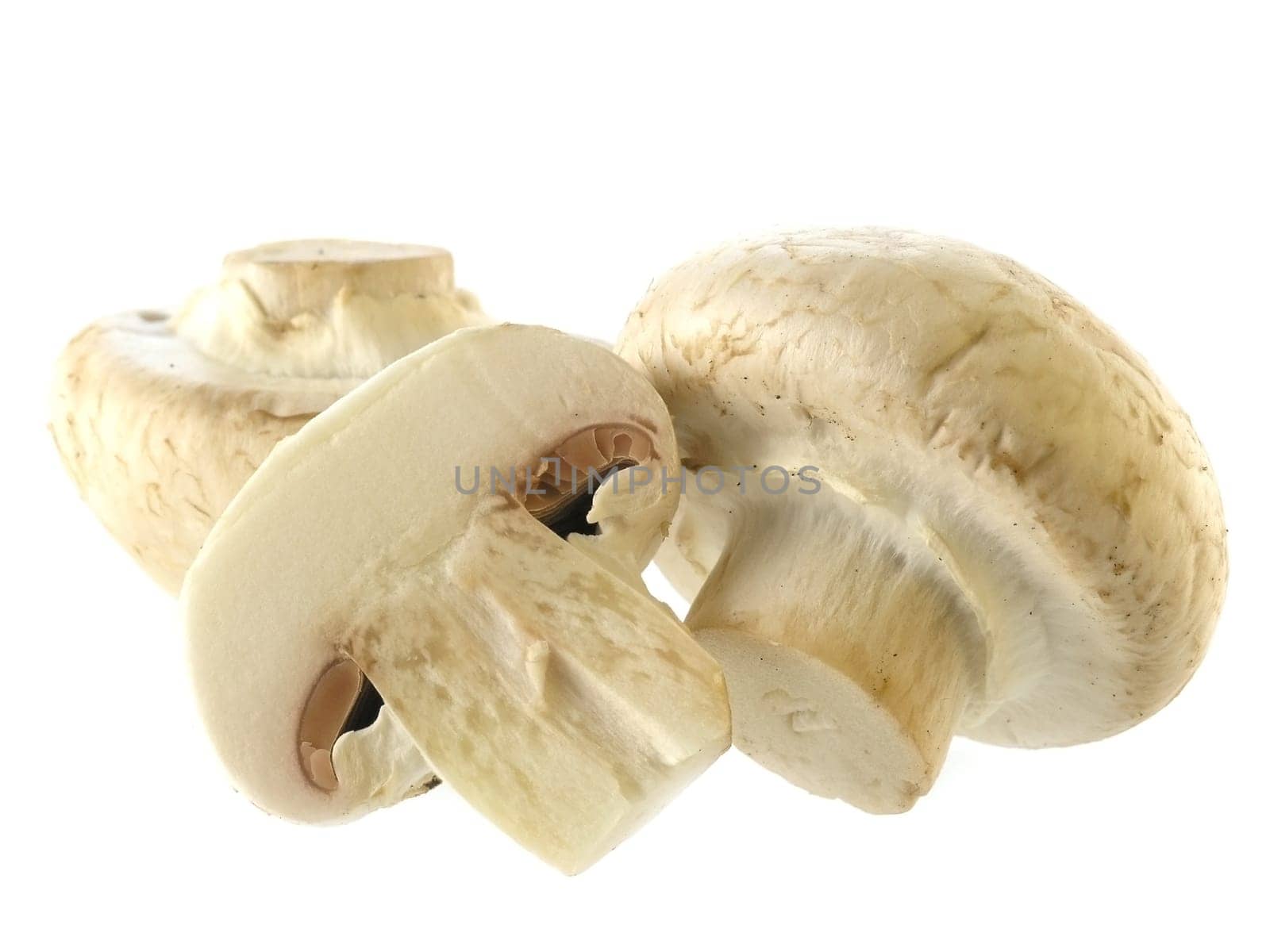 food series: fresh mushrooms isolated on solid background