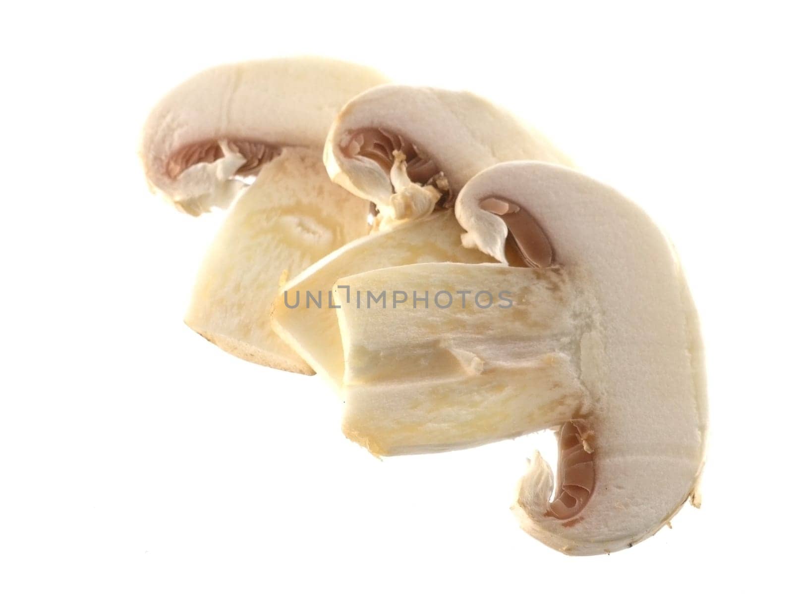 food series: fresh mushrooms isolated on solid background