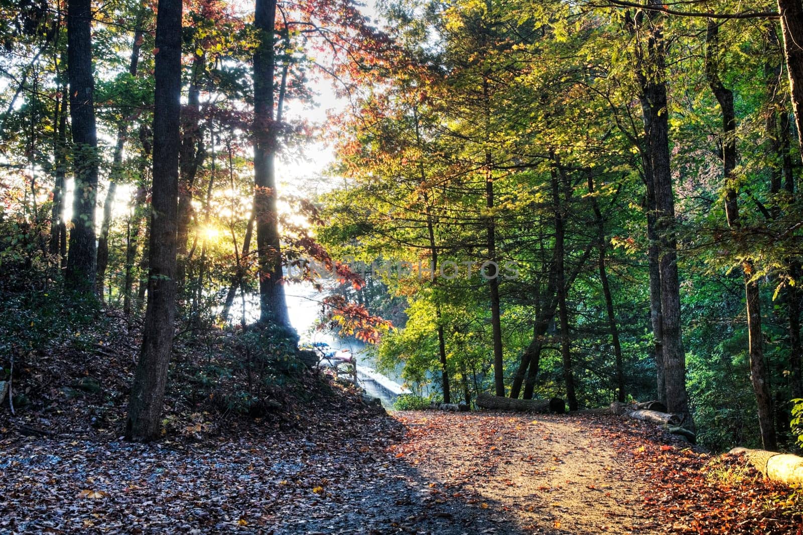 Fall in North Carolina, HDR