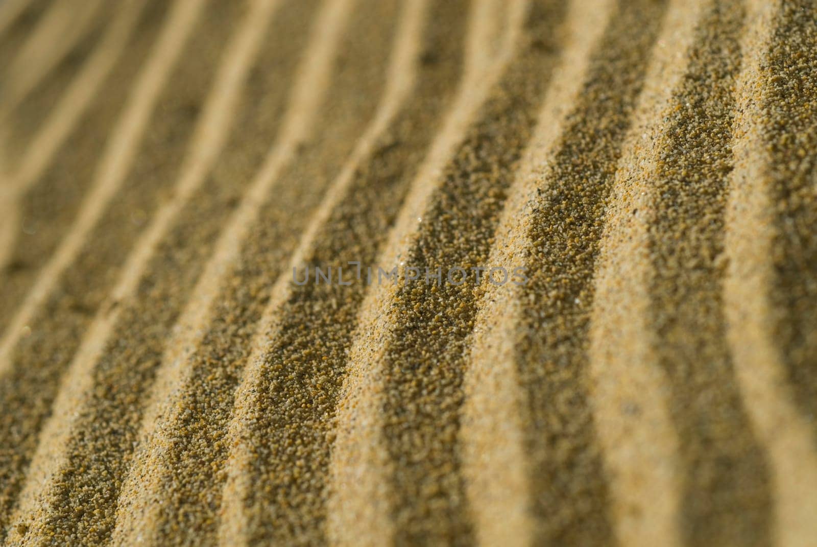Sand Dunes 03