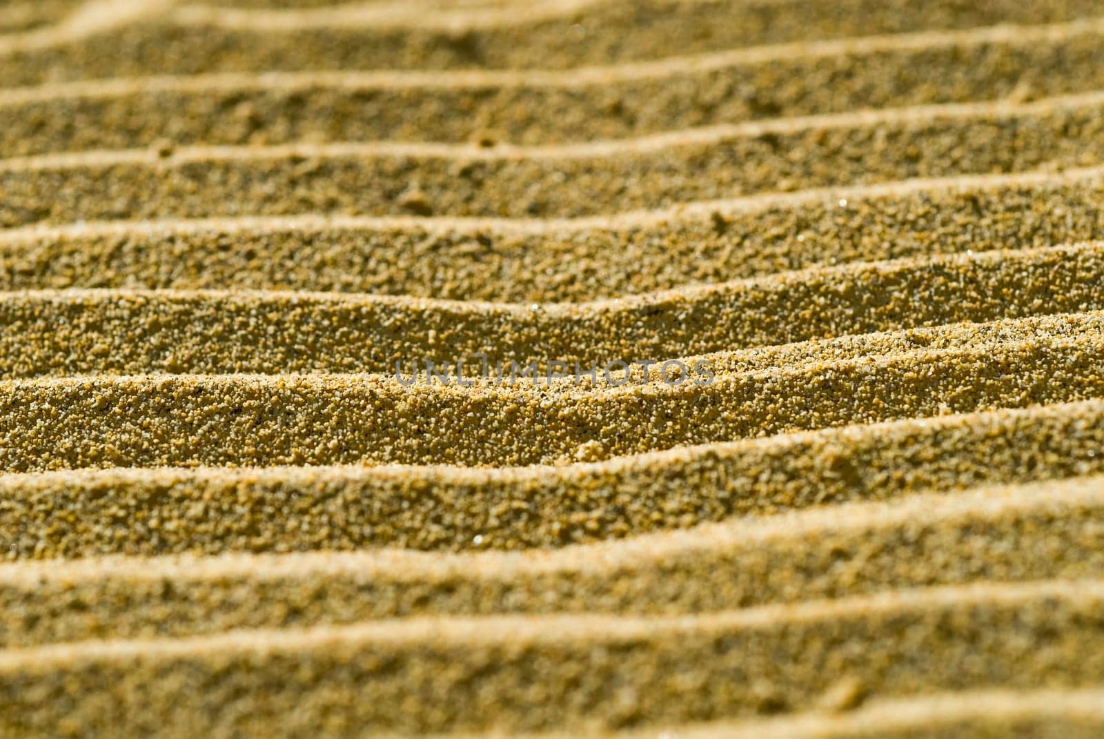 Sand Dunes 01