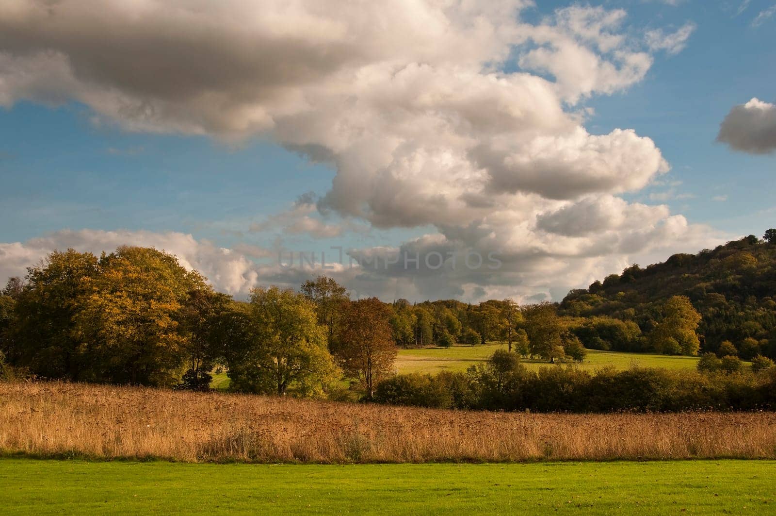 Countryside landscape, fall season, England, UK