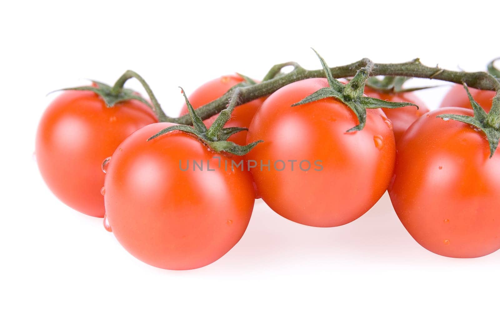 Ripe tomatoes on the green branch.