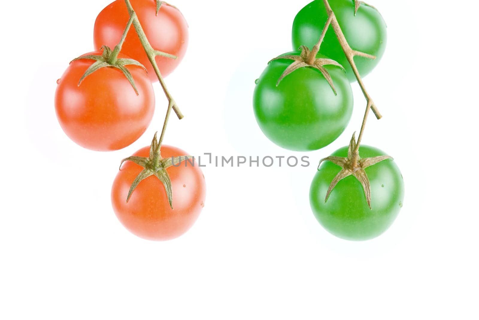 Red and green tomatoes on the green branch.